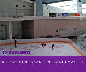 Schaatsen baan in Harleyville