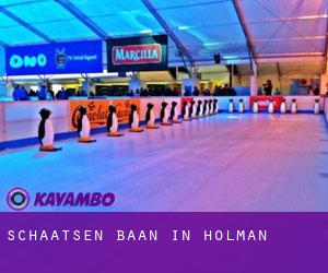 Schaatsen baan in Holman