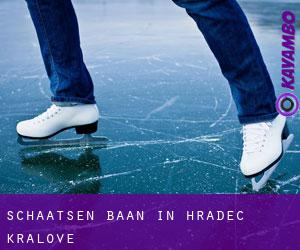 Schaatsen baan in Hradec Králové Schaatsen baan in Hradec Králové