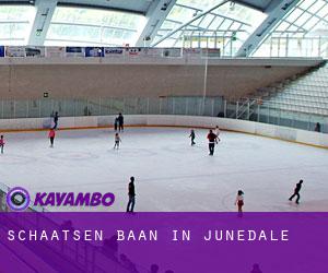 Schaatsen baan in Junedale