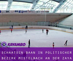 Schaatsen baan in Politischer Bezirk Mistelbach an der Zaya