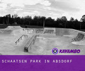 Schaatsen Park in Absdorf