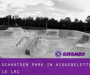 Schaatsen Park in Aiguebelette-le-Lac