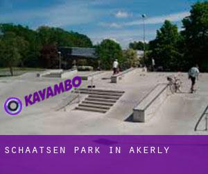 Schaatsen Park in Akerly