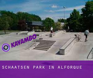Schaatsen Park in Alforque