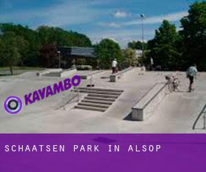 Schaatsen Park in Alsop