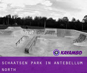 Schaatsen Park in Antebellum North