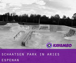 Schaatsen Park in Aries-Espénan