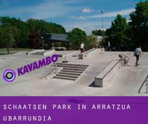Schaatsen Park in Arratzua-Ubarrundia