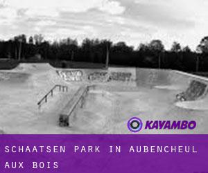 Schaatsen Park in Aubencheul-aux-Bois