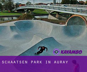 Schaatsen Park in Auray