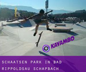 Schaatsen Park in Bad Rippoldsau-Schapbach