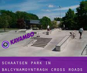 Schaatsen Park in Balcynamoyntragh Cross Roads