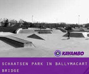 Schaatsen Park in Ballymacart Bridge