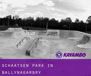 Schaatsen Park in Ballynagarbry