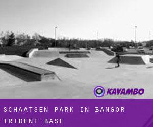 Schaatsen Park in Bangor Trident Base
