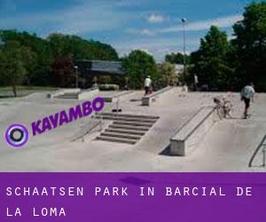 Schaatsen Park in Barcial de la Loma