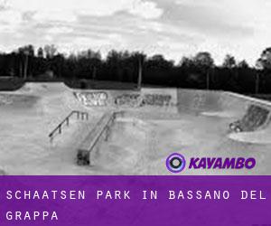 Schaatsen Park in Bassano del Grappa