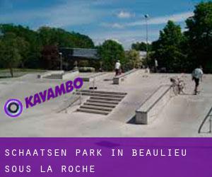 Schaatsen Park in Beaulieu-sous-la-Roche