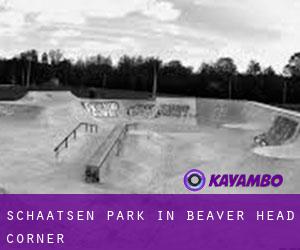 Schaatsen Park in Beaver Head Corner