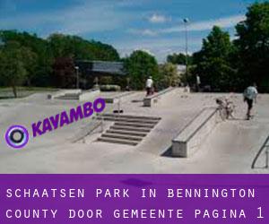 Schaatsen Park in Bennington County door gemeente - pagina 1