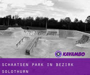 Schaatsen Park in Bezirk Solothurn