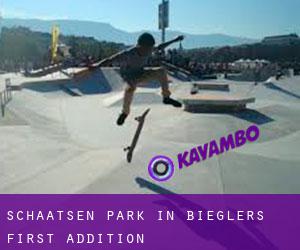 Schaatsen Park in Bieglers First Addition