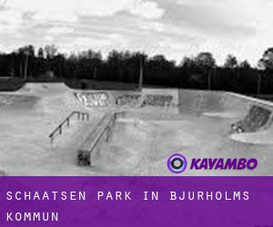 Schaatsen Park in Bjurholms Kommun