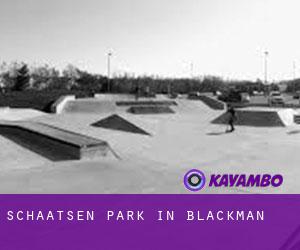 Schaatsen Park in Blackman