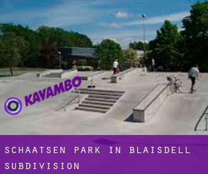 Schaatsen Park in Blaisdell Subdivision