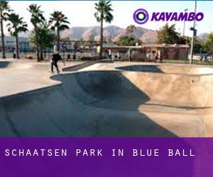 Schaatsen Park in Blue Ball