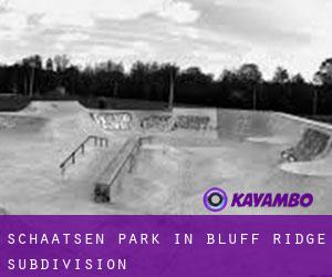 Schaatsen Park in Bluff Ridge Subdivision