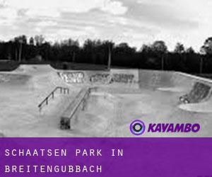 Schaatsen Park in Breitengüßbach