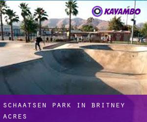 Schaatsen Park in Britney Acres
