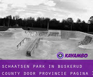 Schaatsen Park in Buskerud county door Provincie - pagina 1