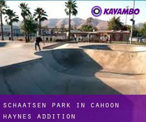 Schaatsen Park in Cahoon Haynes Addition