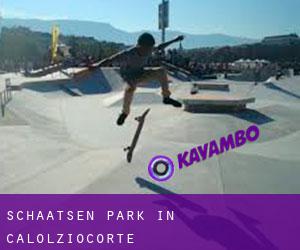 Schaatsen Park in Calolziocorte