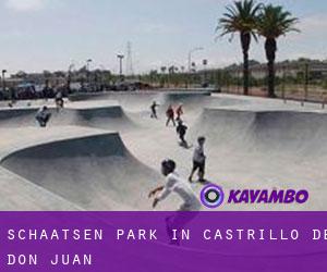Schaatsen Park in Castrillo de Don Juan