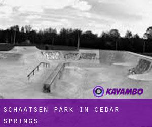 Schaatsen Park in Cedar Springs