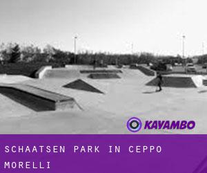 Schaatsen Park in Ceppo Morelli