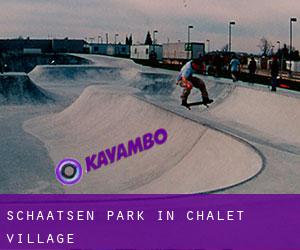 Schaatsen Park in Chalet Village