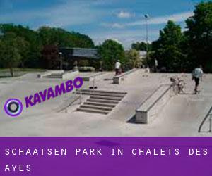 Schaatsen Park in Chalets des Ayes
