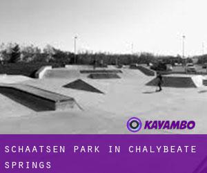 Schaatsen Park in Chalybeate Springs