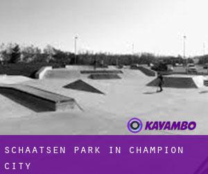 Schaatsen Park in Champion City