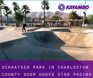 Schaatsen Park in Charleston County door hoofd stad - pagina 3