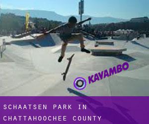 Schaatsen Park in Chattahoochee County