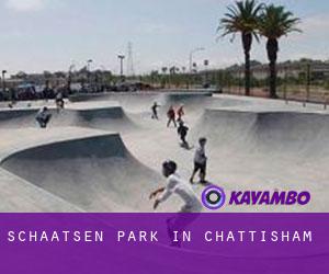 Schaatsen Park in Chattisham
