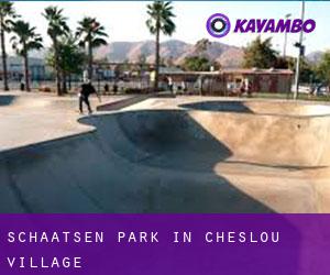 Schaatsen Park in Cheslou Village