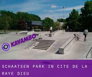 Schaatsen Park in Cité de la Raye Dieu