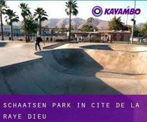 Schaatsen Park in Cité de la Raye Dieu